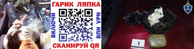 Гашиш Cannabis Великий Новгород