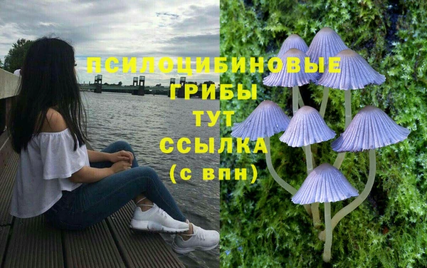 МДМА Новозыбков