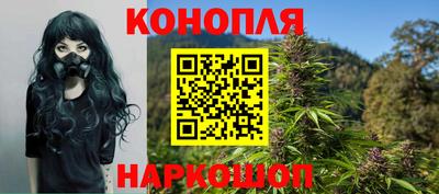 ECSTASY Аргун