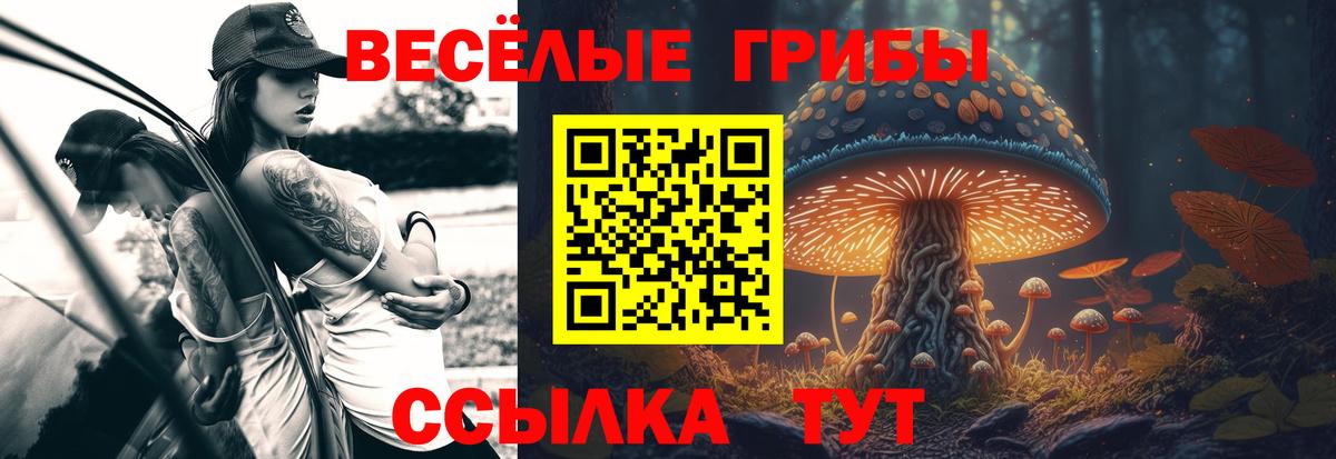 Псилоцибиновые грибы ЛСД Великий Новгород